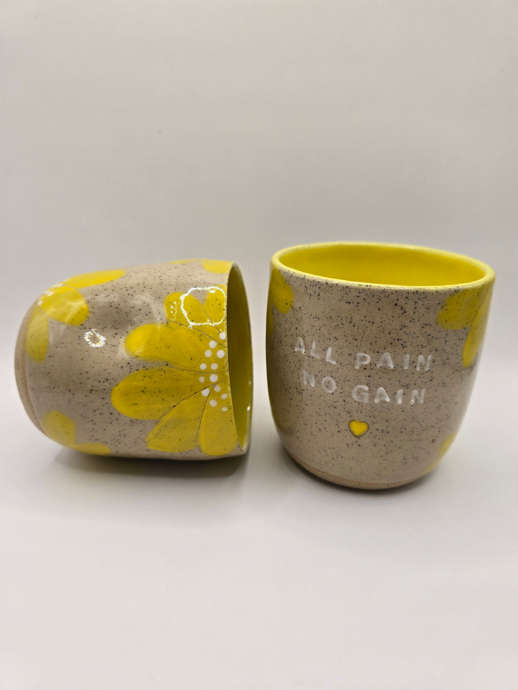 WILD KLAY FOR A CAUSE - All Pain No Gain Cup (300ml)